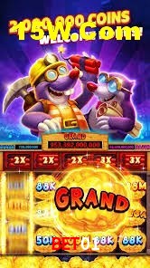 Experiência VIP Bet01